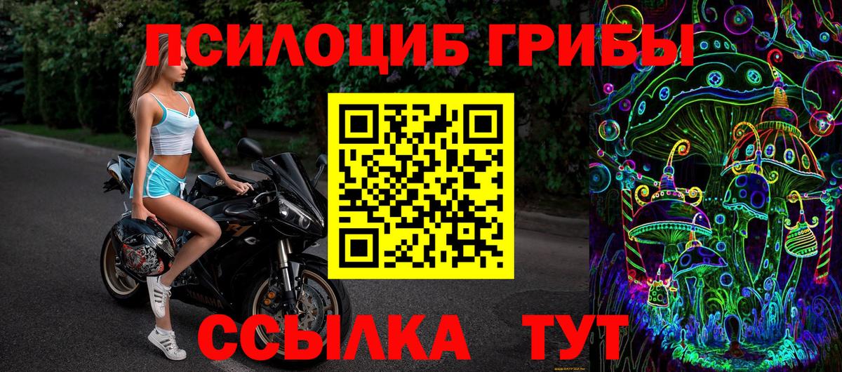 Галлюциногенные грибы Psilocybe Вязьма
